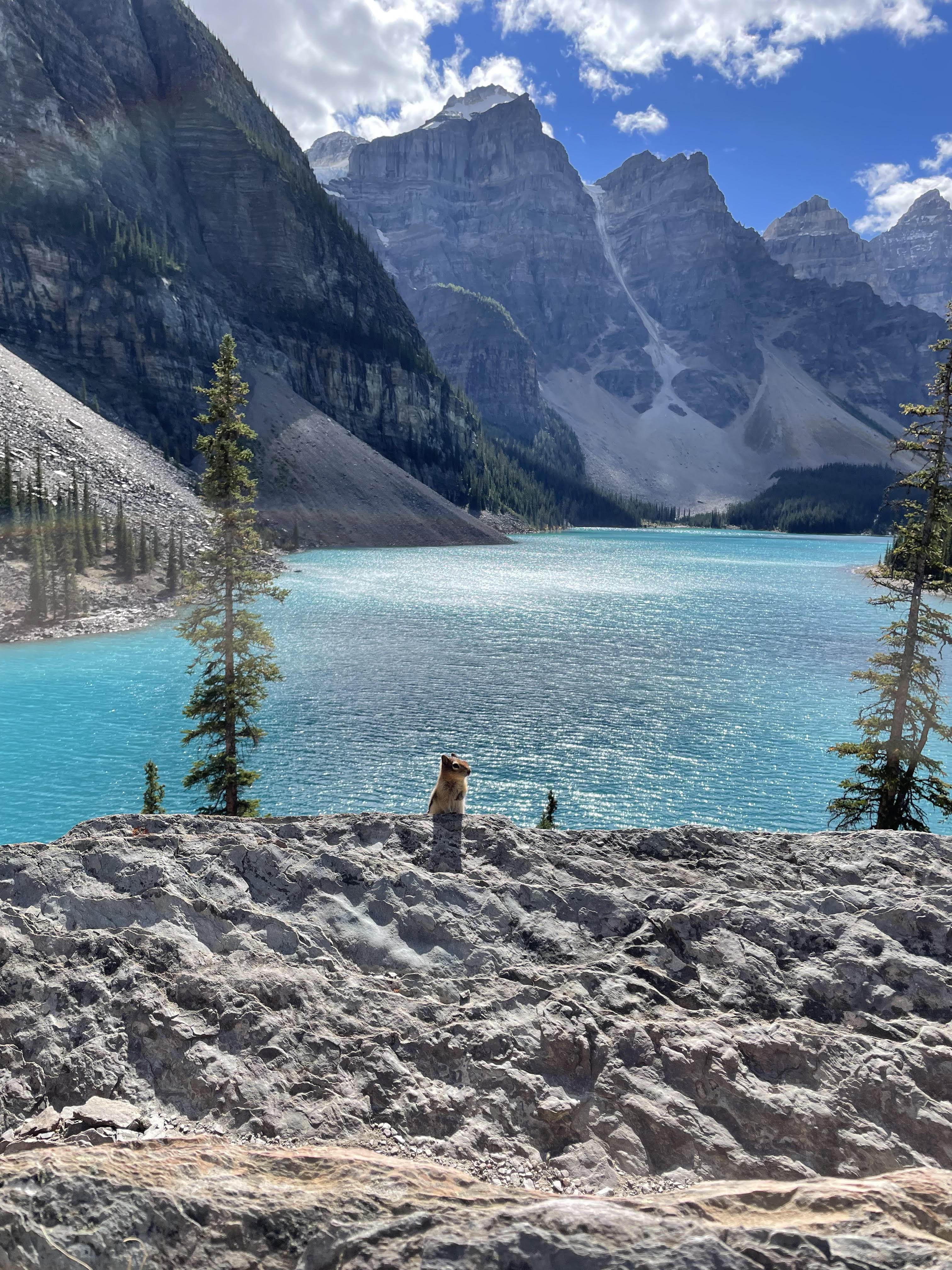 experience our Moraine Lake tour